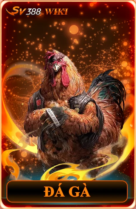 sv388 anh da ga