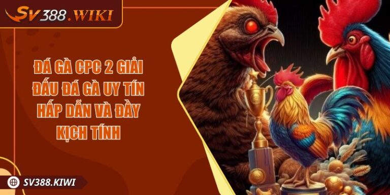 Đá Gà CPC 2 Giải Đấu Đá Gà Uy Tín Hấp Dẫn Và Đầy Kịch Tính 6 Đá Gà CPC 2 Giải Đấu Đá Gà Uy Tín Hấp Dẫn Và Đầy Kịch Tính