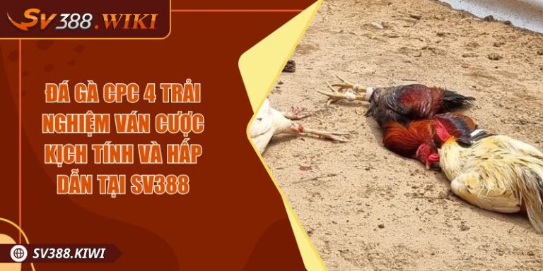 Đá Gà CPC 4 Trải Nghiệm Ván Cược Kịch Tính Và Hấp Dẫn Tại SV388 4 Đá Gà CPC 4 Trải Nghiệm Ván Cược Kịch Tính Và Hấp Dẫn Tại SV388