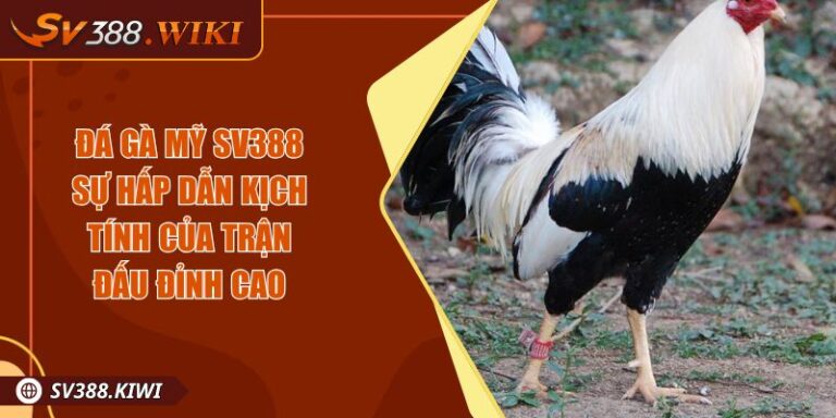 Đá Gà Mỹ SV388 Sự Hấp Dẫn Kịch Tính Của Trận Đấu Đỉnh Cao 8 Đá Gà Mỹ SV388 Sự Hấp Dẫn Kịch Tính Của Trận Đấu Đỉnh Cao