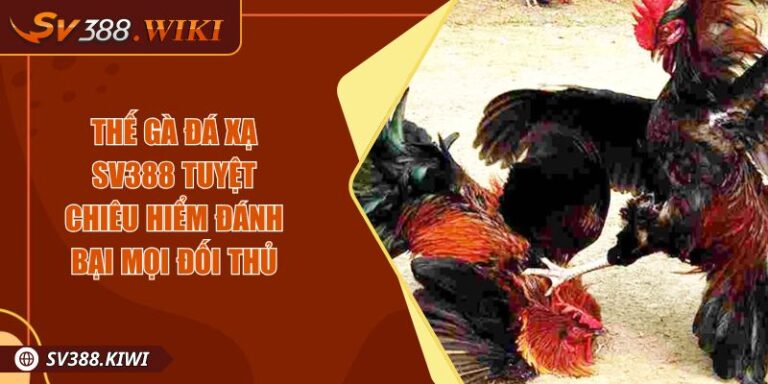 Thế Gà Đá Xạ SV388 Tuyệt Chiêu Hiểm Đánh Bại Mọi Đối Thủ 9 Thế Gà Đá Xạ SV388 Tuyệt Chiêu Hiểm Đánh Bại Mọi Đối Thủ