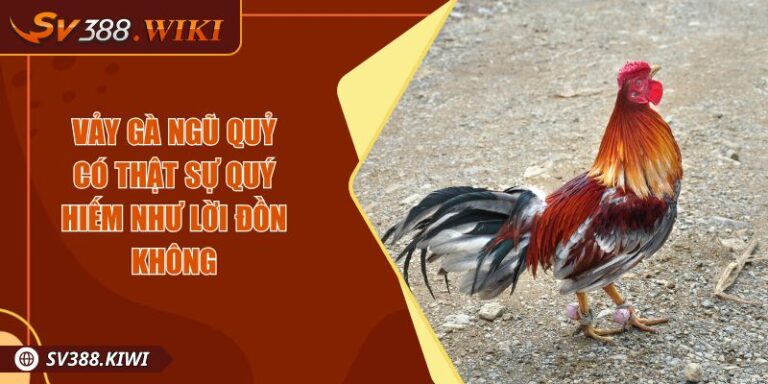 Vảy Gà Ngũ Quỷ Có Thật Sự Quý Hiếm Như Lời Đồn Không 8 Vảy Gà Ngũ Quỷ Có Thật Sự Quý Hiếm Như Lời Đồn Không