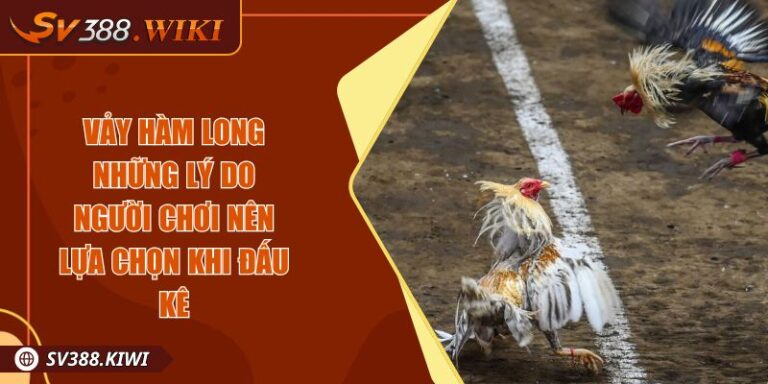 Vảy Hàm Long Những Lý Do Người Chơi Nên Lựa Chọn Khi Đấu Kê 5 Vảy Hàm Long Những Lý Do Người Chơi Nên Lựa Chọn Khi Đấu Kê