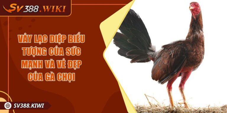 Vảy Lạc Diệp Biểu Tượng Của Sức Mạnh Và Vẻ Đẹp  Của Gà Chọi 1 Vảy Lạc Diệp Biểu Tượng Của Sức Mạnh Và Vẻ Đẹp Của Gà Chọi