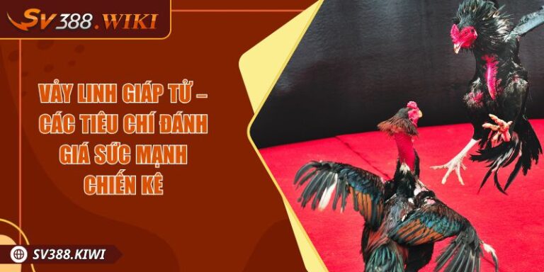 Vảy Linh Giáp Tử – Các Tiêu Chí Đánh Giá Sức Mạnh Chiến Kê 7 Vảy Linh Giáp Tử – Các Tiêu Chí Đánh Giá Sức Mạnh Chiến Kê